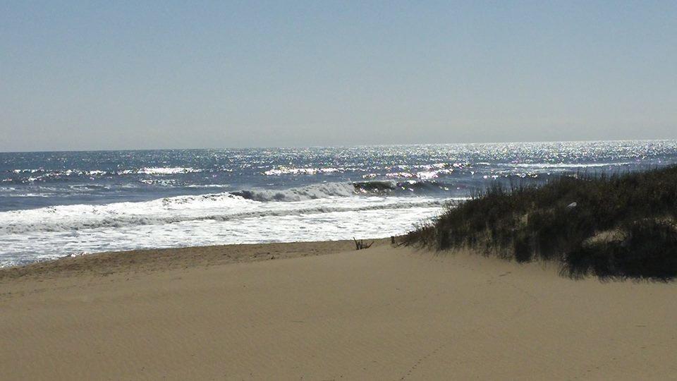 Outer Banks Motor Motel Kill Devil Hills